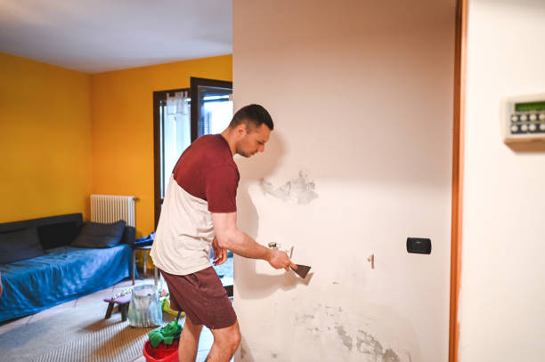 Best Mold Remediation for Specific Building Types in Lorane, PA